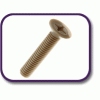 PEEK® countersunk screw [181] (181042570409)