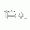 Flanged Hexagonal Torx screw [129] (129504000002)