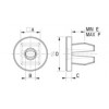 Steel plate nut [162] (162501300002)